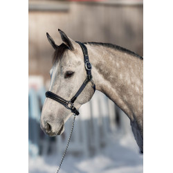 Cabezada de cuero y nailon Mixed HFI Master