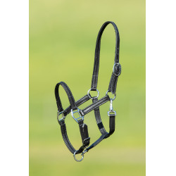 new Negro