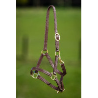 Cabezada de cuero suave HFI Master Castaño Marrón