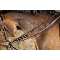 Riendas alemanas de cuero HFI Master Castaño Marrón