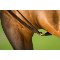 Riendas alemanas de cuero HFI Master Castaño Marr&amp;oacute;n