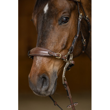 Set Muserola Gourmette Hackamore HFI Master Set Muserola Gourmette Hackamore HFI Master