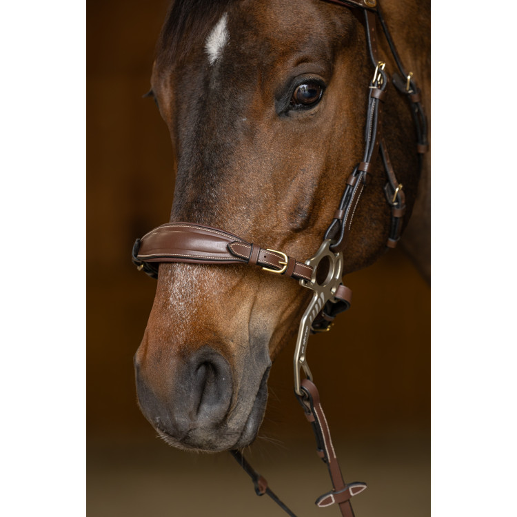 Set Muserola Gourmette Hackamore HFI Master
