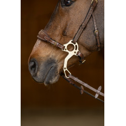 Set Muserola Gourmette Hackamore HFI Master Set Muserola Gourmette Hackamore HFI Master