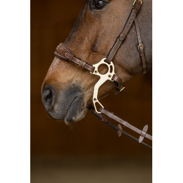 Set Muserola Gourmette Hackamore HFI Master Set Muserola Gourmette Hackamore HFI Master