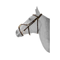 Brida Fancy HFI muserola mexicana Castaño Marrón