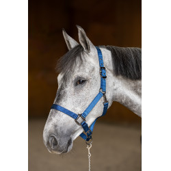 Cabezada de nailon HFI Master
