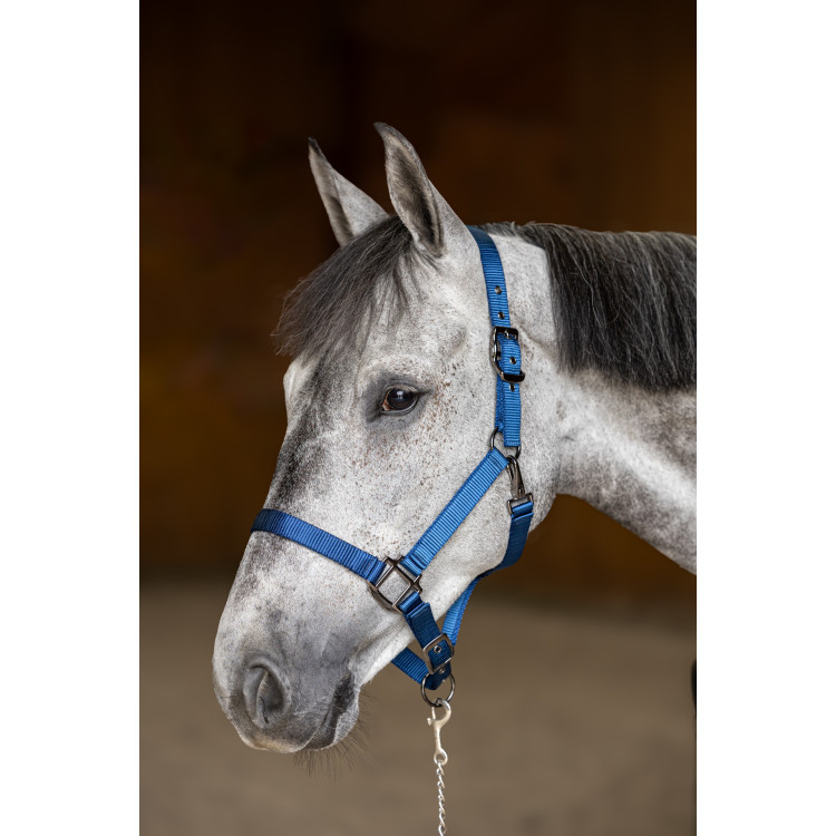 Cabezada de nailon HFI Master