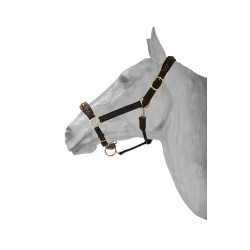 Cabezada de Cuero + diamond HFI