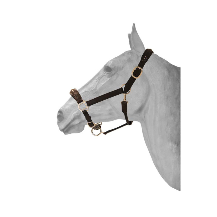 Cabezada de Cuero + diamond HFI