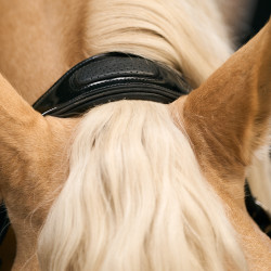 Halster Imperial Riding Hera Negro