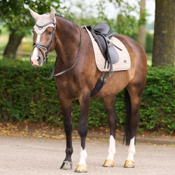 Sudadera Euro-Star Cato DR Tundra Beige