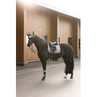 Sombrero de mosca encantador de montar imperial Blanco