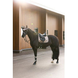 Sombrero de mosca encantador de montar imperial Capuchino Marrón