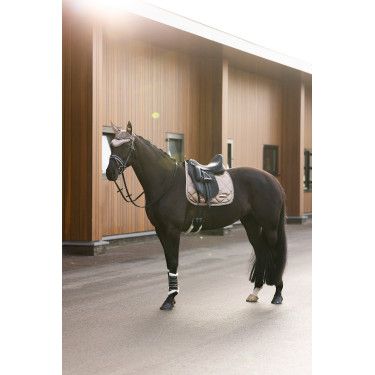 Sombrero de mosca encantador de montar imperial Capuchino Marrón