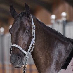 Cabezada HV Polo Nena Piedra Gris