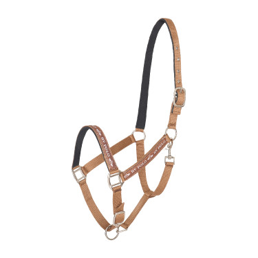 Cabezada HV Polo Nena Zorro Beige