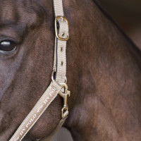 Cabezada HV Polo Nena Marino Azul marino