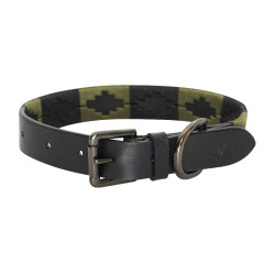 Collar para perro HV Polo Chaya Verdor Verde
