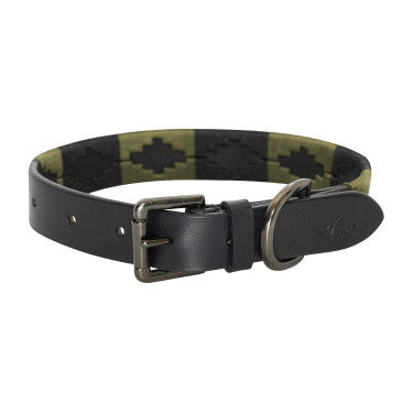 Collar para perro HV Polo Chaya Verdor Verde