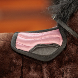 Lote de juguetes de equitación Imperial Riding Pequeño Bailarina Violeta Lote de juguetes de equitación Imperial Riding Pequeño Bailarina Violeta