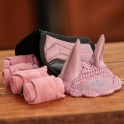 Lote de juguetes de equitación Imperial Riding Pequeño Bailarina Violeta Lote de juguetes de equitación Imperial Riding Pequeño Bailarina Violeta