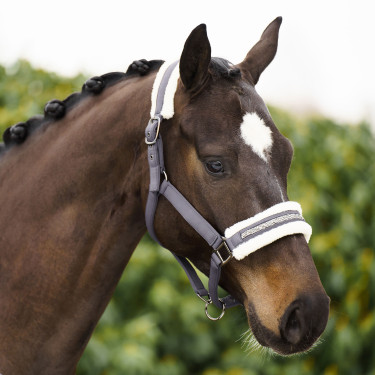 Cabezada Imperial Riding Jewel Tornado Beige