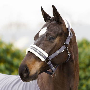 Cabezada Imperial Riding Jewel Tornado Beige