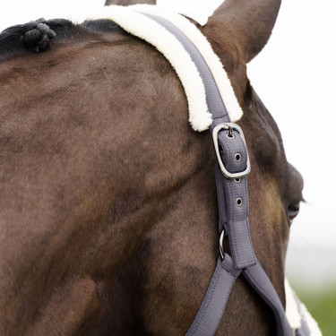 Cabezada Imperial Riding Jewel Tornado Beige