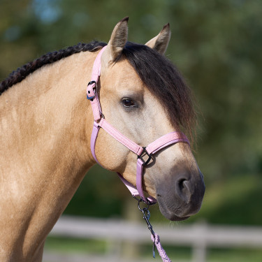 Cabezada Imperial Riding Sparkle Bailarina Violeta