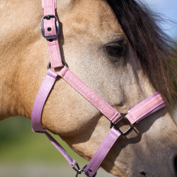 Cabezada Imperial Riding Sparkle Bailarina Violeta