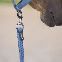 Cuerda de amarre Imperial Riding Deluxe con mosquetón simple Bailarina Violeta