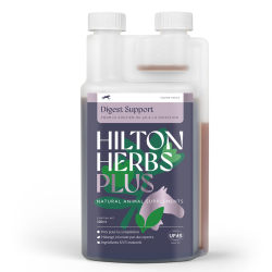 Digest Support Plus Concurso Hilton Herbs Digest Support Plus Concurso Hilton Herbs