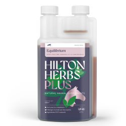 Equilibrium Plus Concurso Hilton Herbs