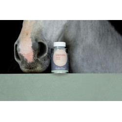 Aceite ALODIS CARE Hoof Choc