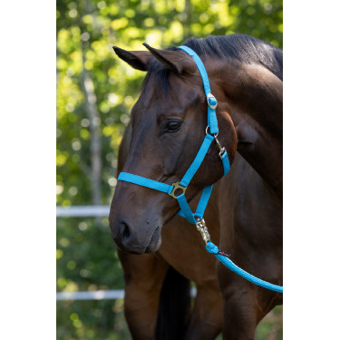 Cabezada Hippo Covalliero Azul