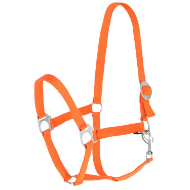 Cabezada Hippo Covalliero Naranja