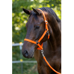 Cabezada Hippo Covalliero Naranja