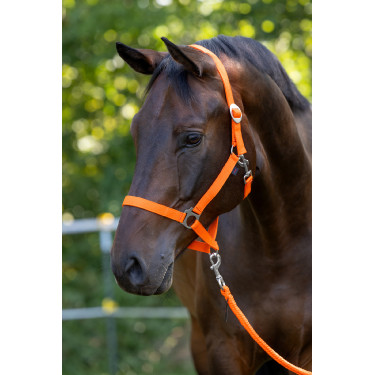 Cabezada Hippo Covalliero Naranja