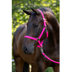 Cabezada Hippo Covalliero Rosa