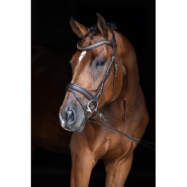 Brida Clincher Covalliero Castaño Marrón