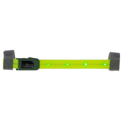 Frontal LED Covalliero
