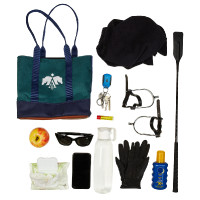 Mini tote bag Arena Verde