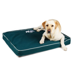 Cama para perro Arena Cama para perro Arena