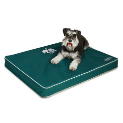 Cama para perro Arena Cama para perro Arena