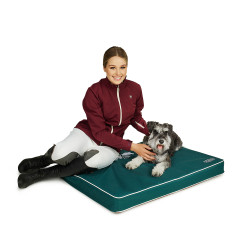 Cama para perro Arena Cama para perro Arena