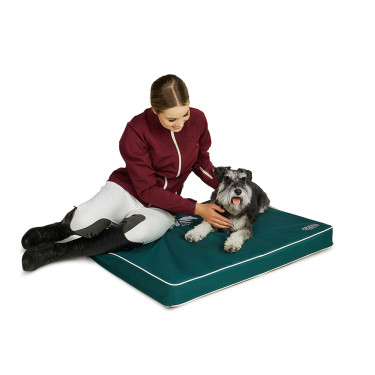 Cama para perro Arena Cama para perro Arena