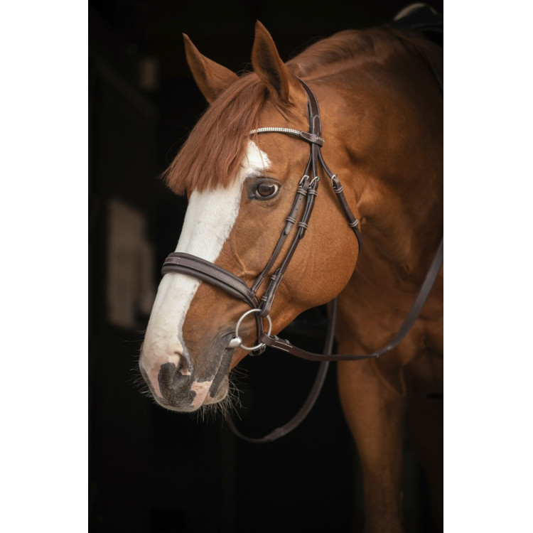Cabezada de montar PENELOPE - Daily Strass