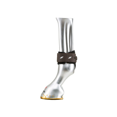 Protector de menudillo Zandona Pro junior Air Castaño Marrón