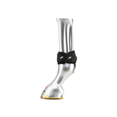 Protectores de menudillo Zandona Carbon Air para caballos jóvenes Protectores de menudillo Zandona Carbon Air para caballos jóvenes